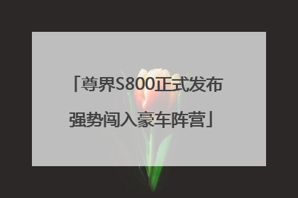 尊界S800正式发布 强势闯入豪车阵营