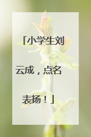 小学生刘云成，点名表扬！