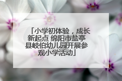 小学初体验，成长新起点 绵阳市盐亭县岐伯幼儿园开展参观小学活动
