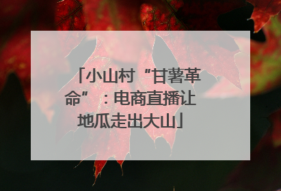 小山村“甘薯革命”：电商直播让地瓜走出大山