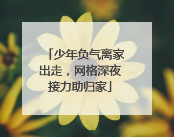 少年负气离家出走，网格深夜接力助归家
