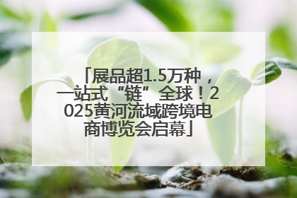 展品超1.5万种，一站式“链”全球！2025黄河流域跨境电商博览会启幕