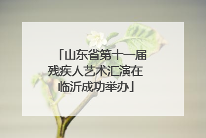 山东省第十一届残疾人艺术汇演在临沂成功举办