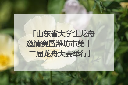 山东省大学生龙舟邀请赛暨潍坊市第十二届龙舟大赛举行
