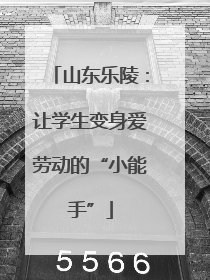 山东乐陵：让学生变身爱劳动的“小能手”