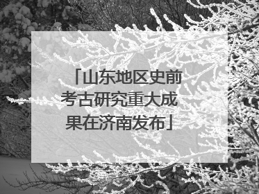 山东地区史前考古研究重大成果在济南发布
