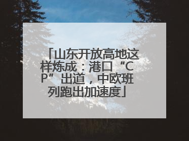 山东开放高地这样炼成：港口“CP”出道，中欧班列跑出加速度