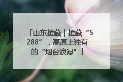 山东援藏｜援藏“5288”，高原上独有的“烟台浪漫”