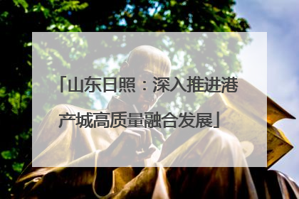 山东日照：深入推进港产城高质量融合发展