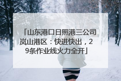 山东港口日照港三公司岚山港区：快进快出，29条作业线火力全开