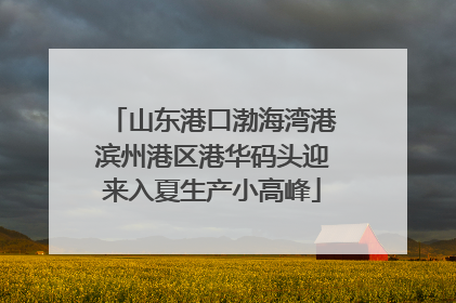 山东港口渤海湾港滨州港区港华码头迎来入夏生产小高峰