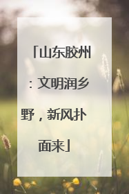山东胶州：文明润乡野，新风扑面来