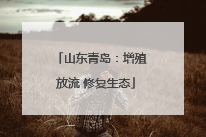 山东青岛：增殖放流 修复生态