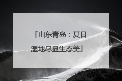 山东青岛：夏日湿地尽显生态美