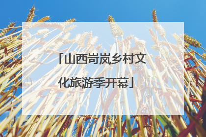 山西岢岚乡村文化旅游季开幕