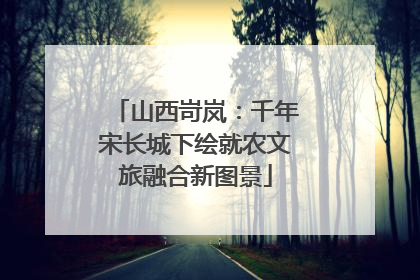 山西岢岚：千年宋长城下绘就农文旅融合新图景