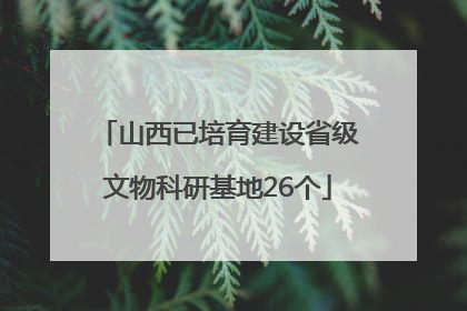 山西已培育建设省级文物科研基地26个