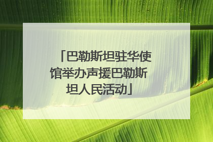 巴勒斯坦驻华使馆举办声援巴勒斯坦人民活动