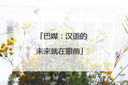 巴媒：汉语的未来就在眼前
