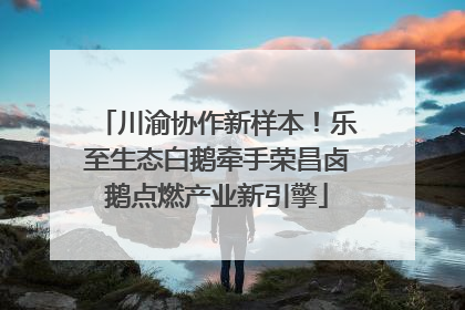 川渝协作新样本！乐至生态白鹅牵手荣昌卤鹅点燃产业新引擎