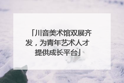 川音美术馆双展齐发，为青年艺术人才提供成长平台