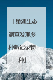 巢湖生态调查发现多种新记录物种
