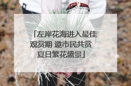 左岸花海进入最佳观赏期 邀市民共赏夏日繁花盛景
