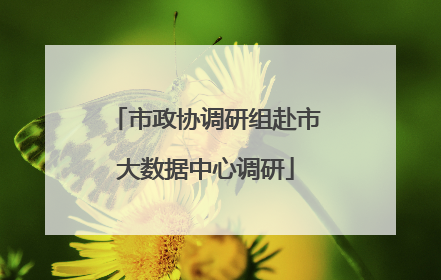 市政协调研组赴市大数据中心调研