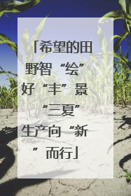希望的田野智“绘”好“丰”景 “三夏”生产向“新”而行