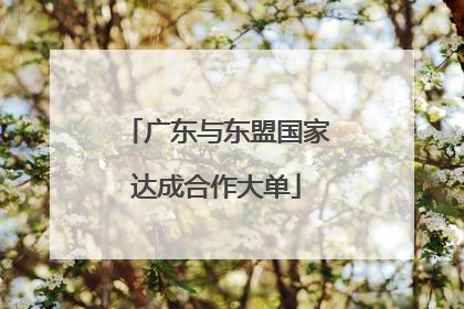 广东与东盟国家达成合作大单