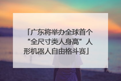 广东将举办全球首个“全尺寸类人身高”人形机器人自由格斗赛