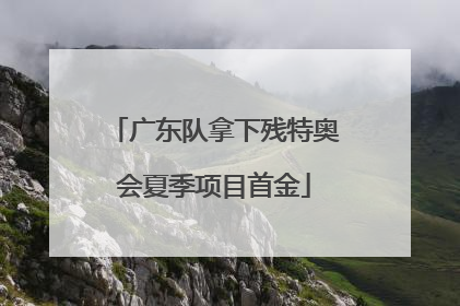 广东队拿下残特奥会夏季项目首金