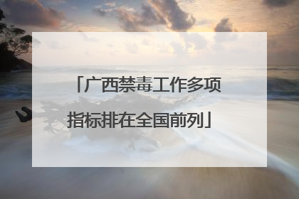 广西禁毒工作多项指标排在全国前列