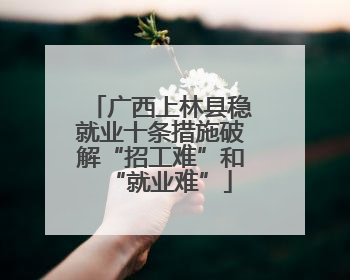 广西上林县稳就业十条措施破解“招工难”和“就业难”