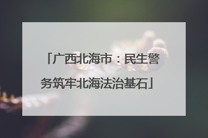 广西北海市：民生警务筑牢北海法治基石