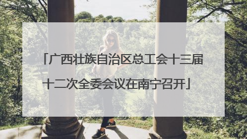 广西壮族自治区总工会十三届十二次全委会议在南宁召开