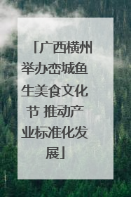 广西横州举办峦城鱼生美食文化节 推动产业标准化发展