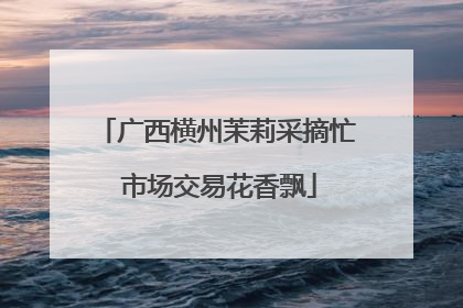 广西横州茉莉采摘忙 市场交易花香飘