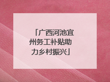 广西河池宜州务工补贴助力乡村振兴