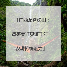 广西龙脊梯田：背篓变迁见证千年农耕传统魅力