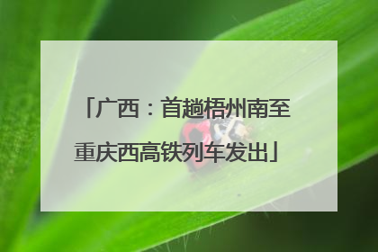 广西：首趟梧州南至重庆西高铁列车发出