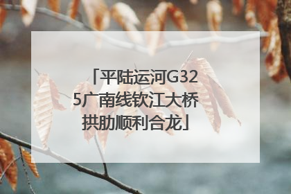 平陆运河G325广南线钦江大桥拱肋顺利合龙