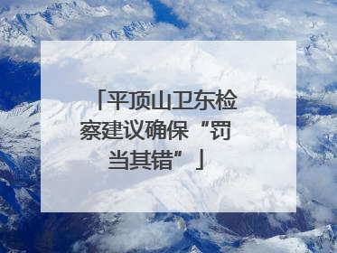 平顶山卫东检察建议确保“罚当其错”