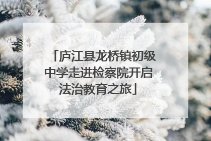 庐江县龙桥镇初级中学走进检察院开启法治教育之旅