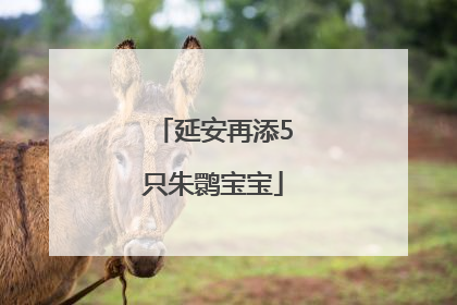 延安再添5只朱鹮宝宝