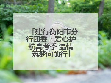 建行衡阳市分行团委：爱心护航高考季 温情筑梦向前行
