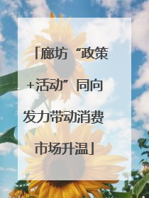 廊坊“政策+活动”同向发力带动消费市场升温
