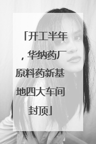 开工半年，华纳药厂原料药新基地四大车间封顶