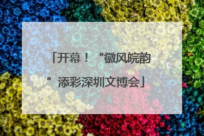 开幕！“徽风皖韵”添彩深圳文博会