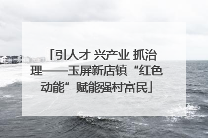 引人才 兴产业 抓治理——玉屏新店镇“红色动能”赋能强村富民